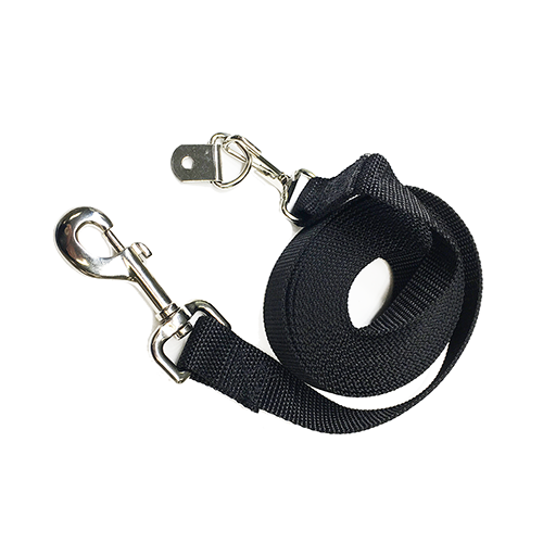 Pet Leash